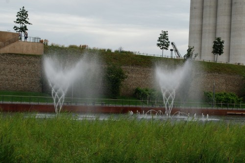 Buga-2019.08.10_DSC_5206.JPG