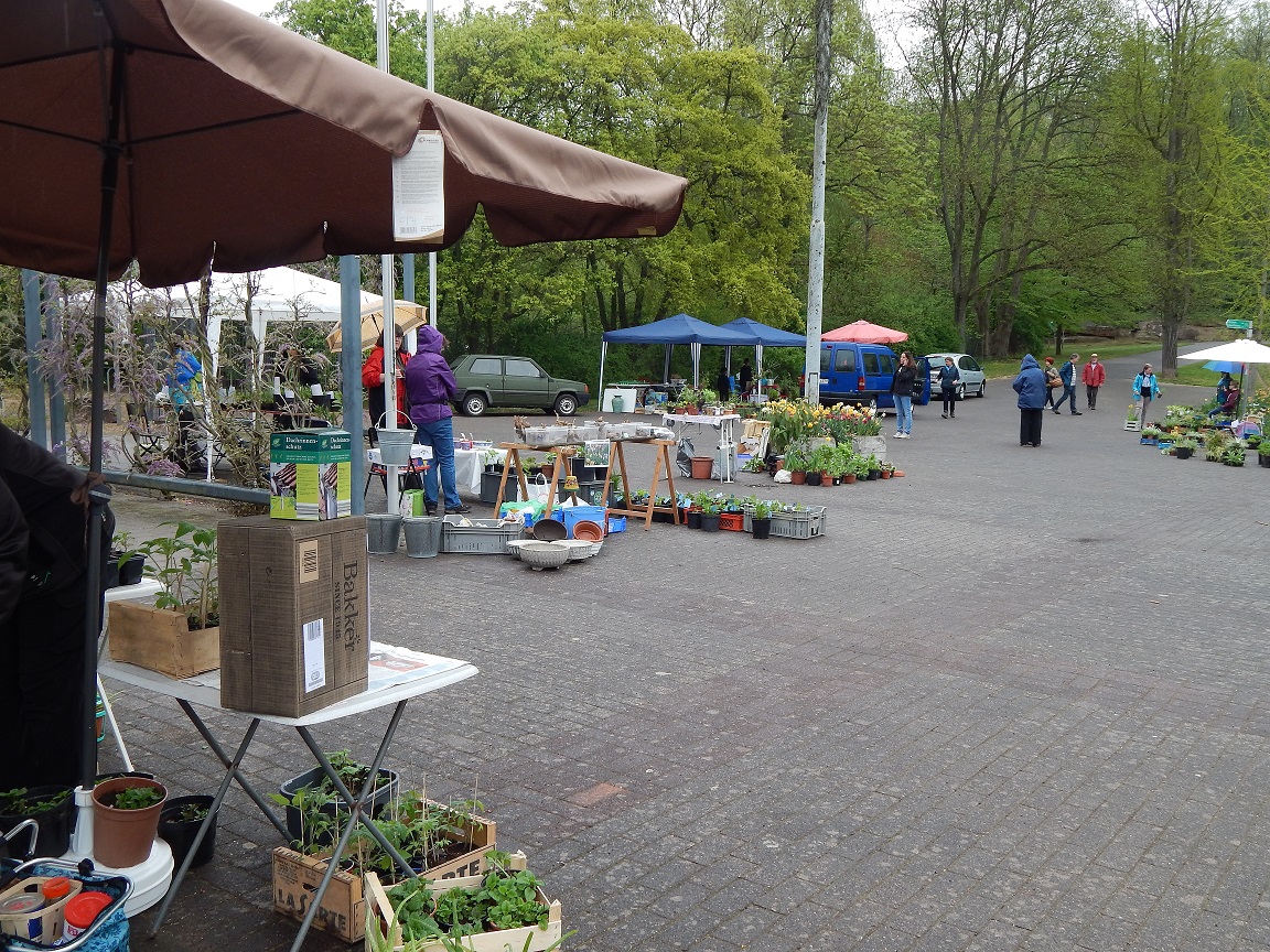 Frühmorgens ein Blick nach links von unserem Stand aus. Einige Stände fehlten da noch. Es würde alles was, der Pflanzenliebhaber mag, angeboten.