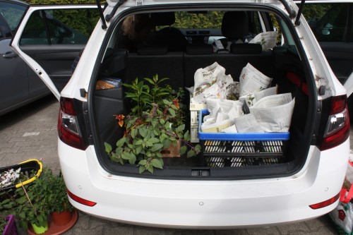 Ankunft und verladen in die Autos