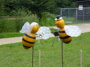 Bienenhochzeit
