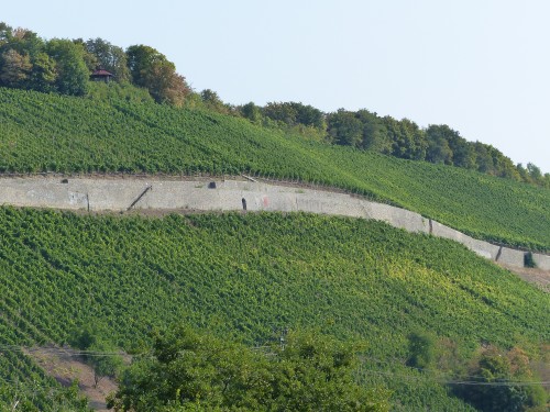 Herrliche Weinberge