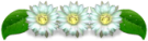 Moderator Moderator
